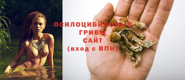 дживик Волосово