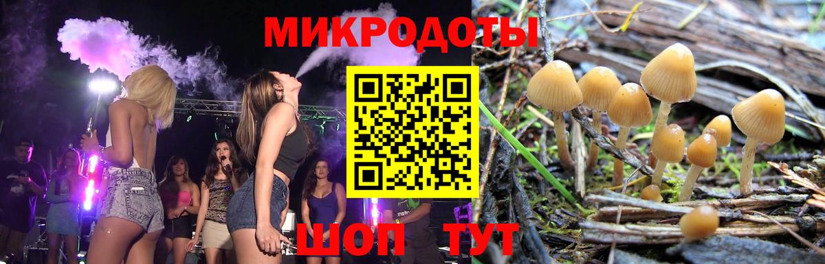 Галлюциногенные грибы мицелий Назарово