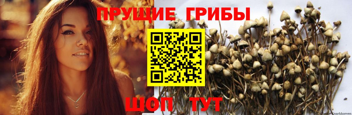 Назарово  Галлюциногенные грибы мицелий  Галлюциногенные грибы Cubensis  Вход с VPN 